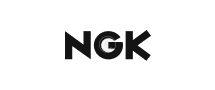 client 2.9 copyright